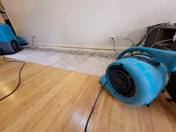 Professional Water Damage Repair technician working in Princeton, IL